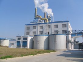 恒瑞實業公司印尼不銹鋼生產線項目